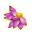 Icon Sublimations Last Flower.png